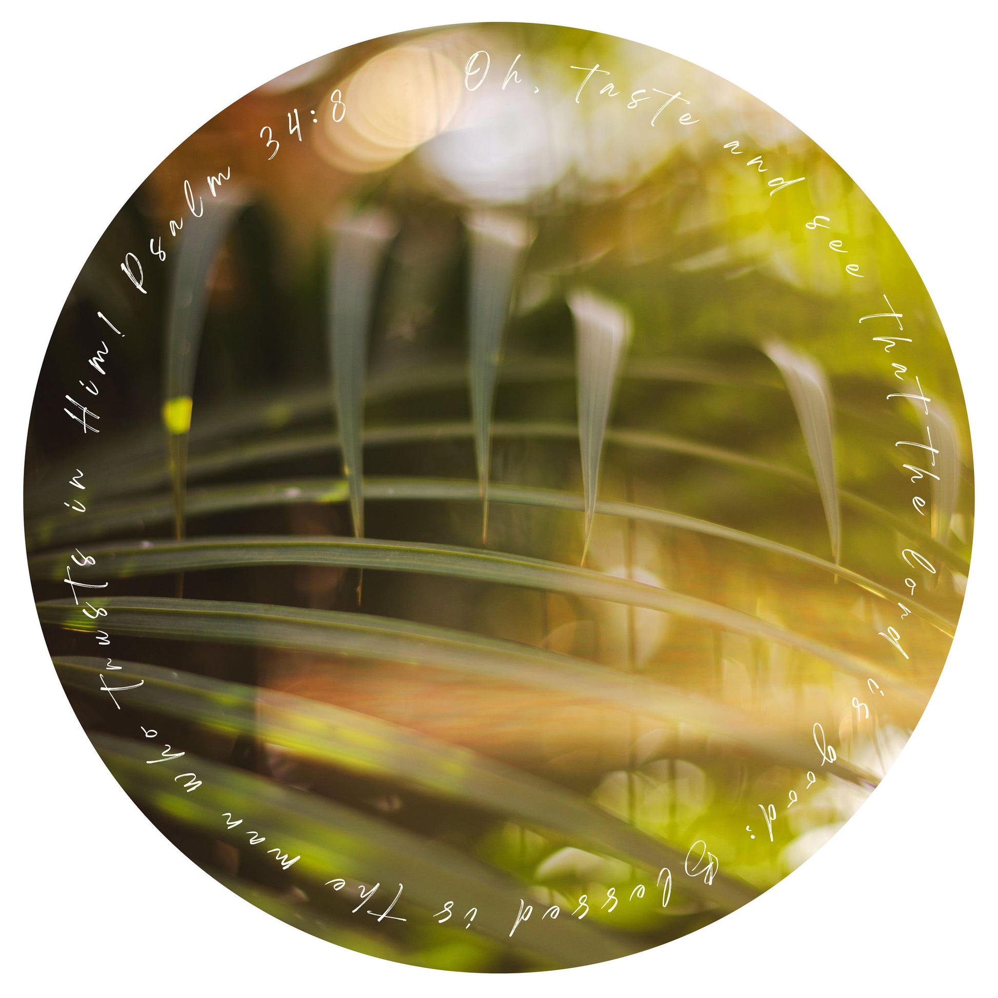 Fern frond with blurred background and text overlay on a circular frame