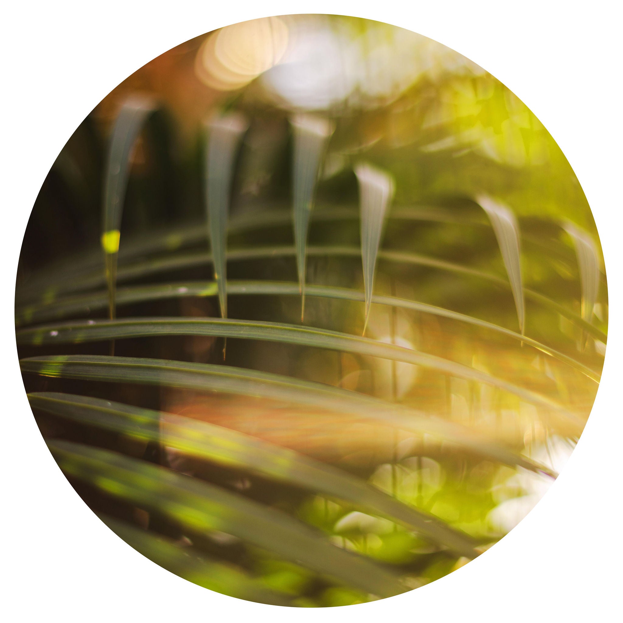 Natural Round Yoga movement Mat Canada Online
