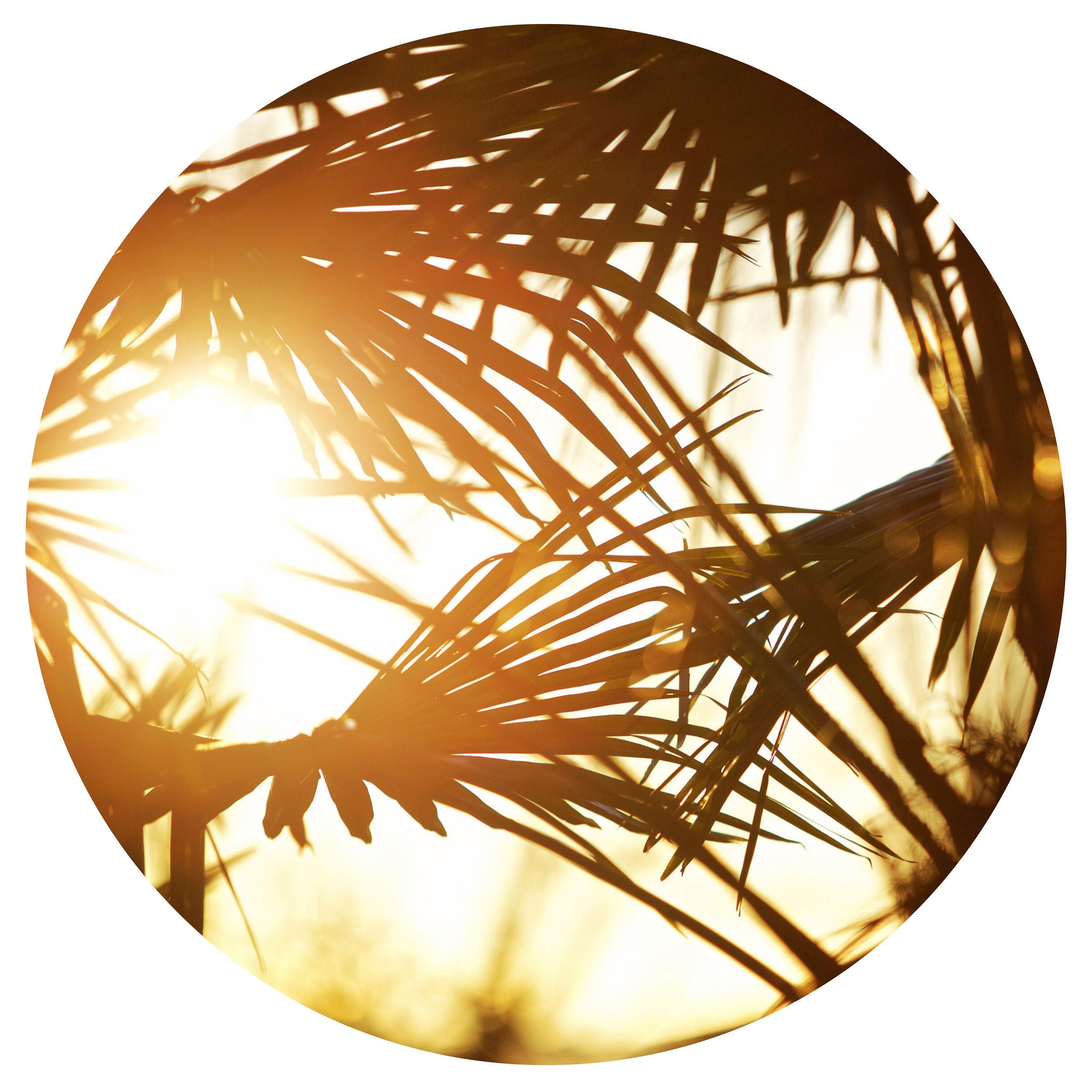 Natural Round Yoga movement Mat Canada Online