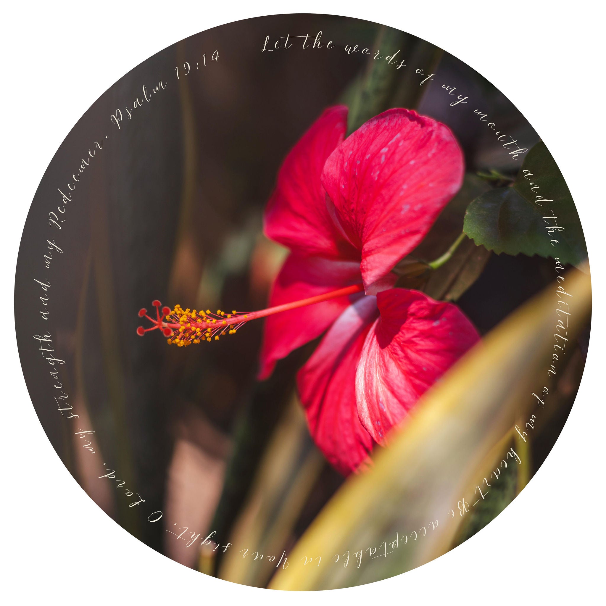 Natural Round Yoga movement Mat Canada Online