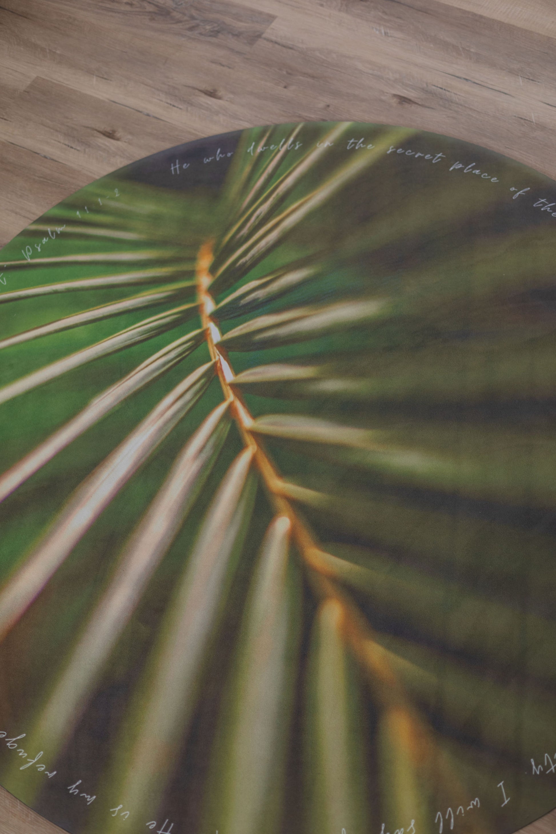 Close-up of a green leaf with text on a wooden floor