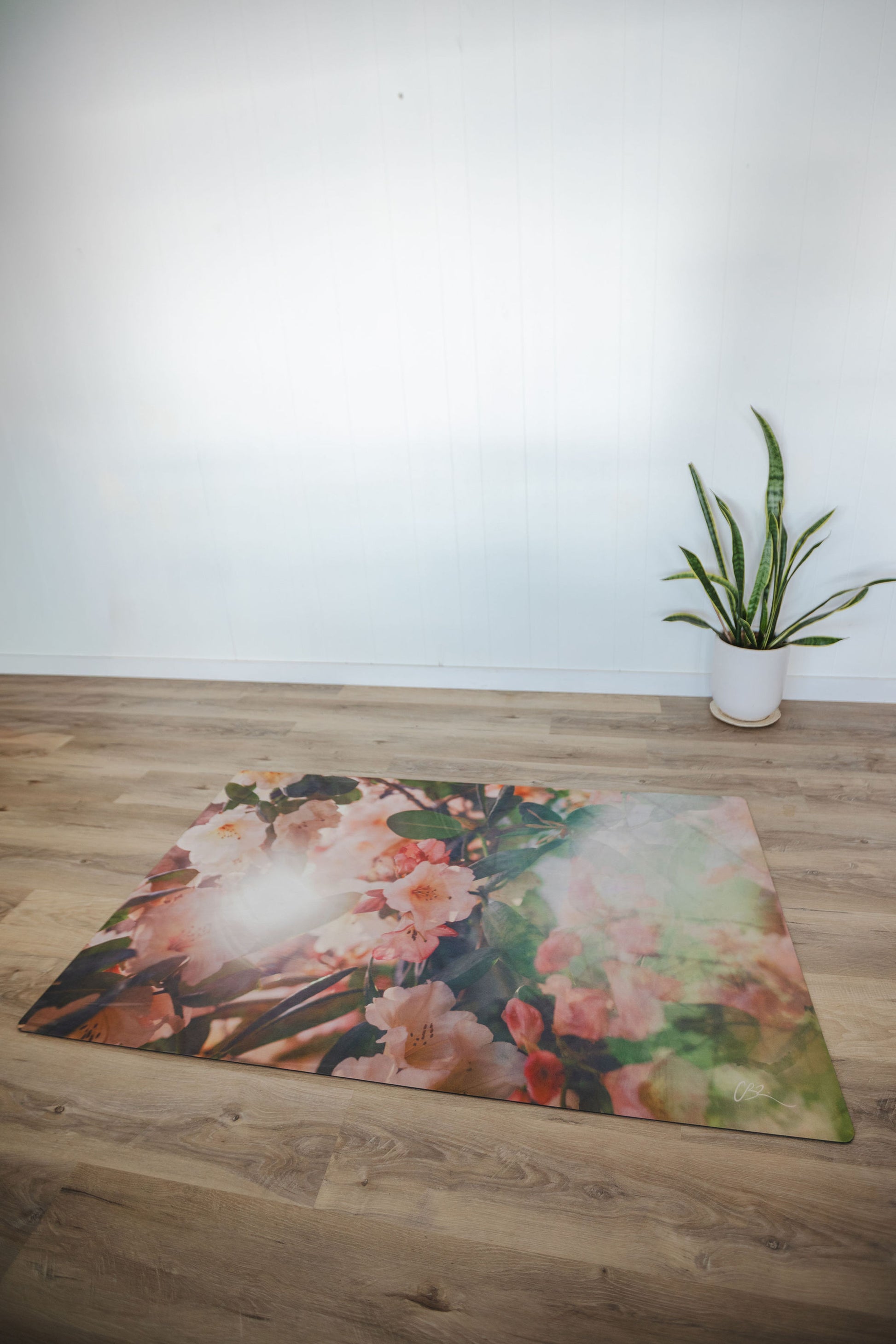 Floral-patterned mat on a wooden floor with a white wall and plant in the background