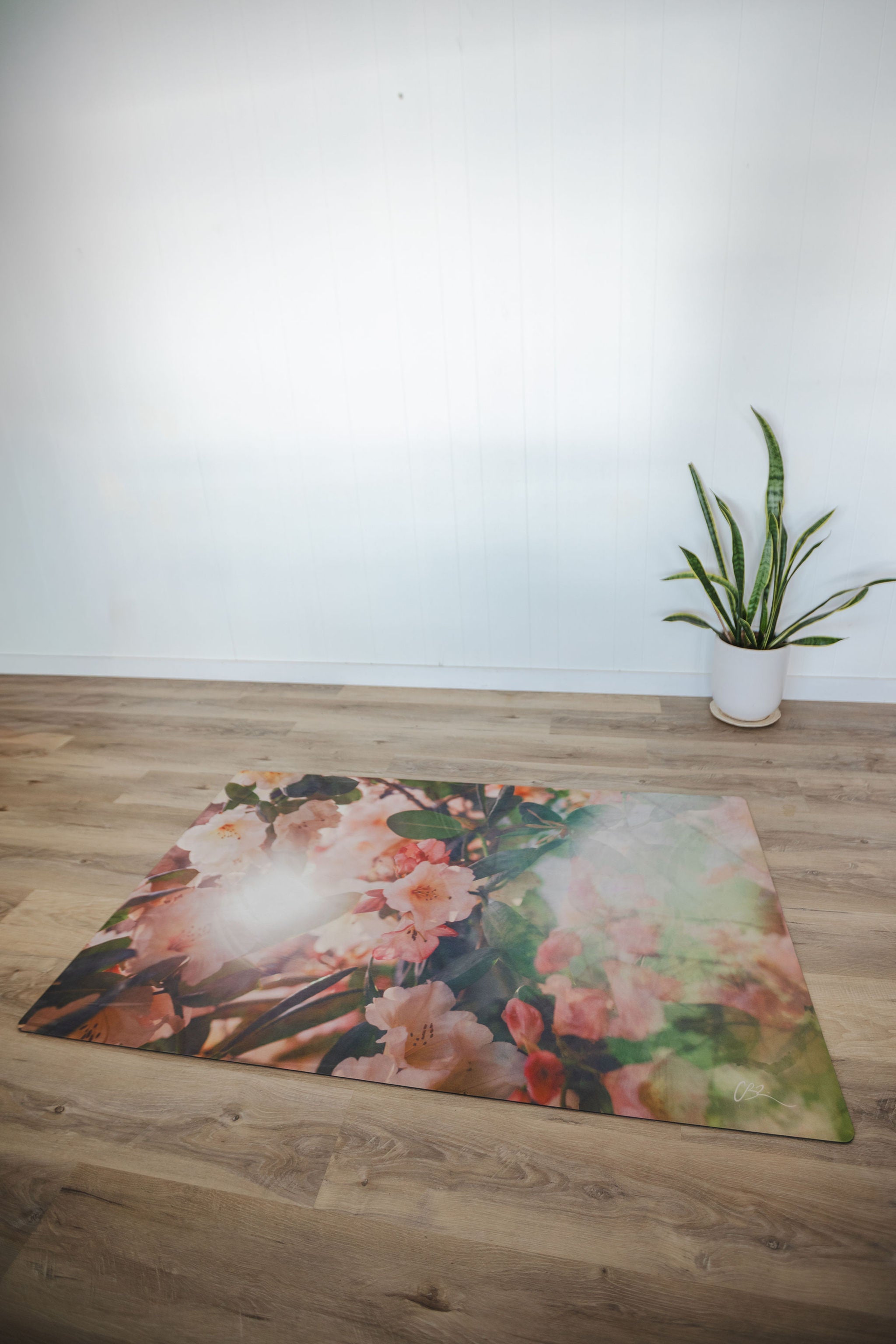 Floral-patterned mat on a wooden floor with a white wall and plant in the background