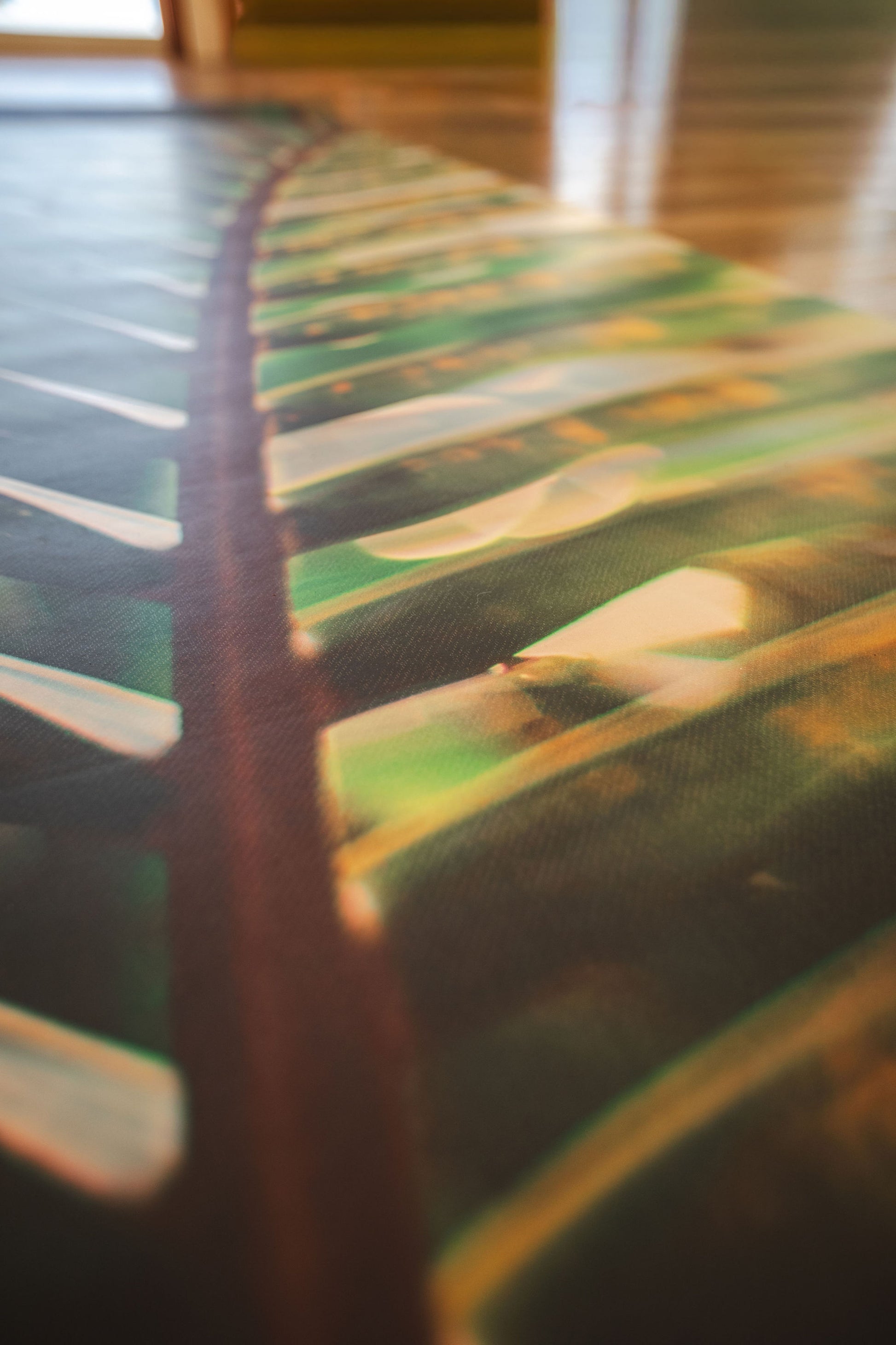 Close-up of a textured surface with green and brown tones