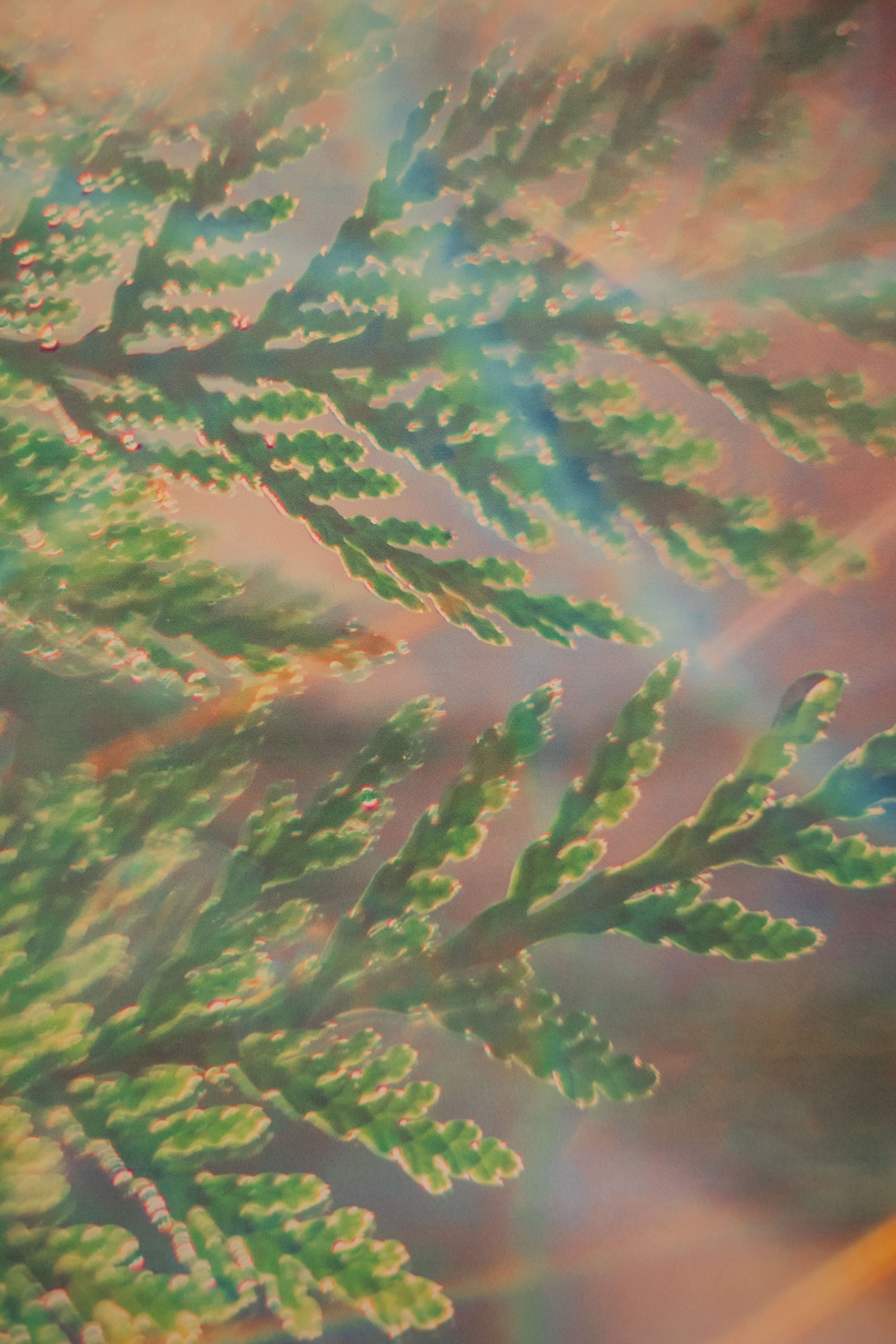 Close-up of green leafy branches with a blurred background